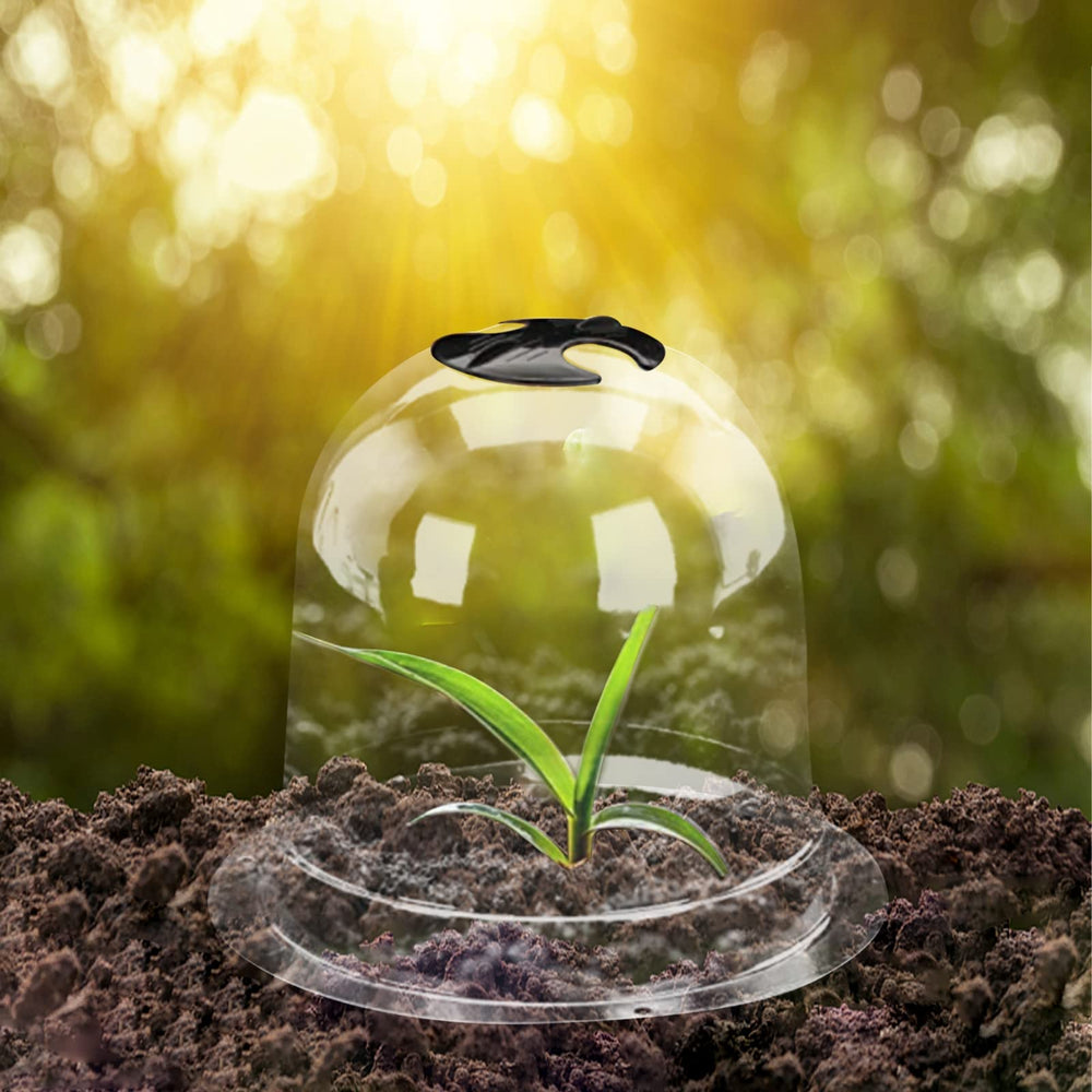 MorTime cloche with included plant labels and pegs for organization
