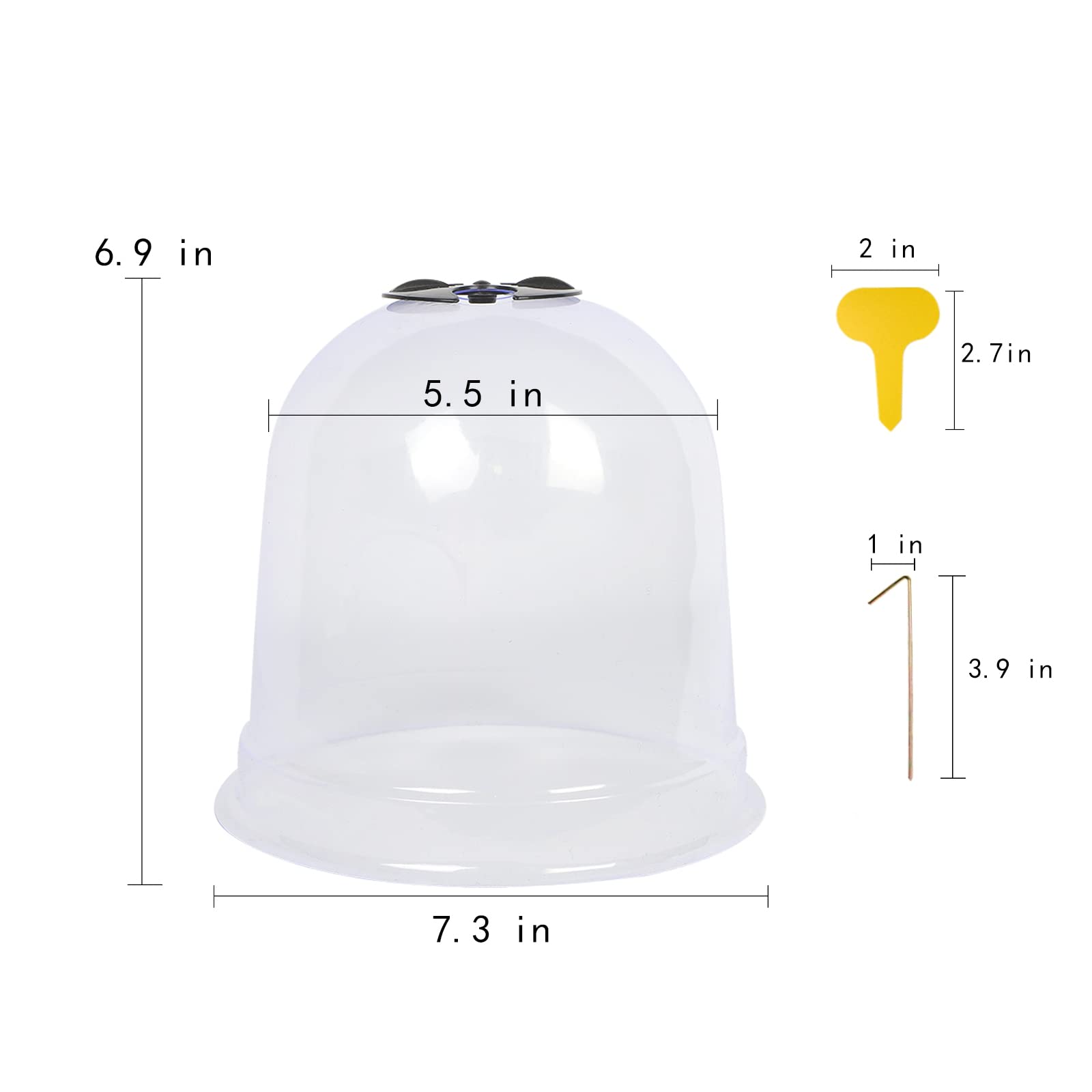 MorTime cloche with metal pegs anchored to soil for wind resistance