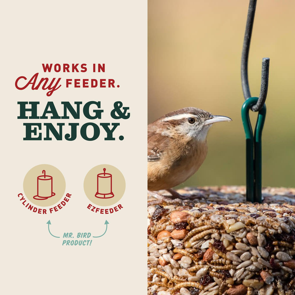 Mr. Bird cylinder held in hand showing scale and lasting size