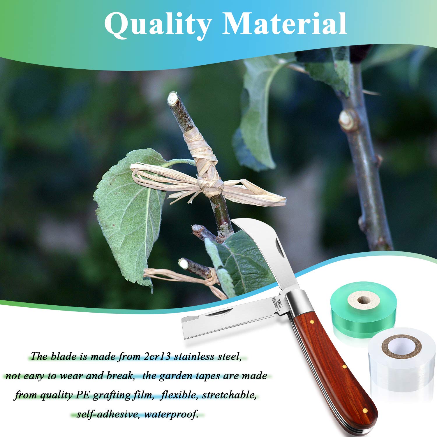 Mudder kit used by gardener in orchard demonstrating practical grafting benefit