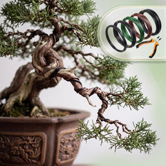 Mudder color variation of black green and brown wire rolls blending with bonsai foliage