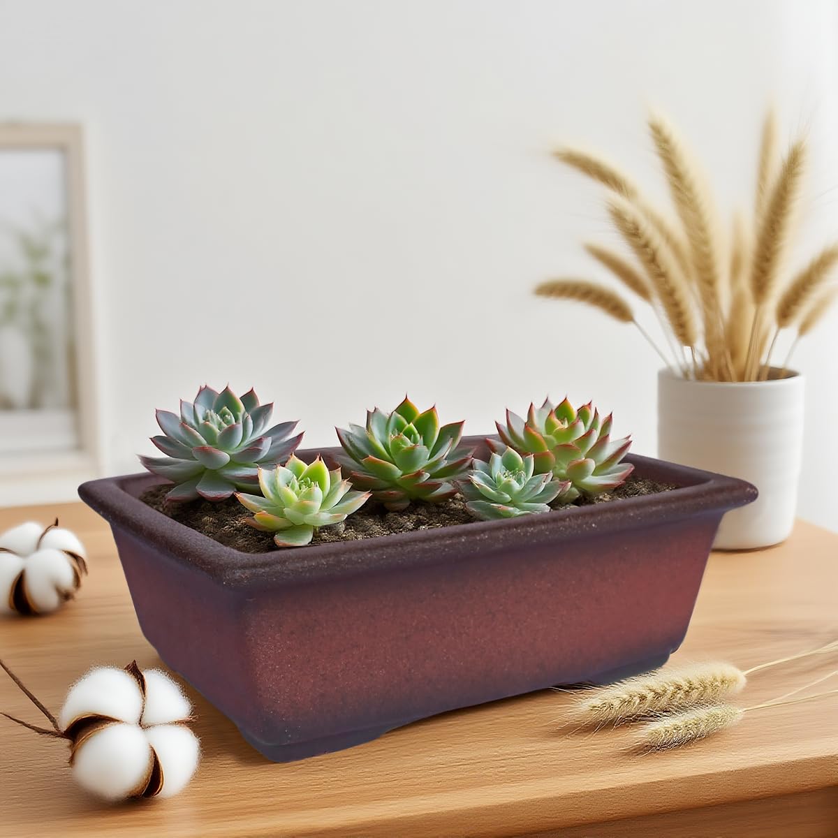 MUZHI mesh pad and garden tool included for tidy planting setup
