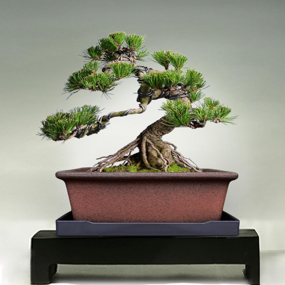 MUZHI planter held in hand for scale showing compact 8.5 inch size