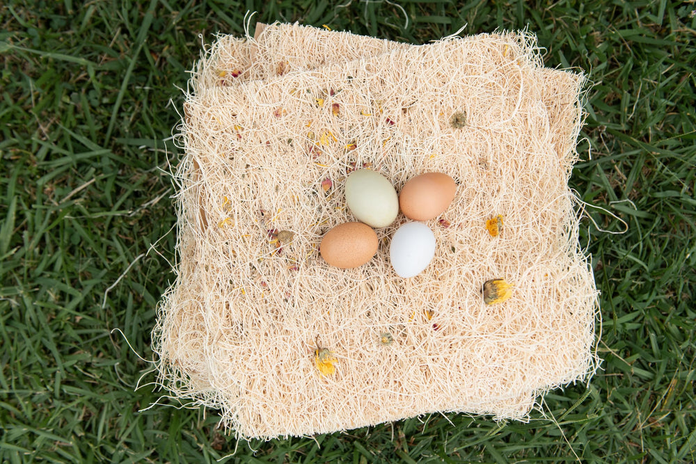 My Favorite Chicken pad in a coop demonstrating tidy, comfortable nests