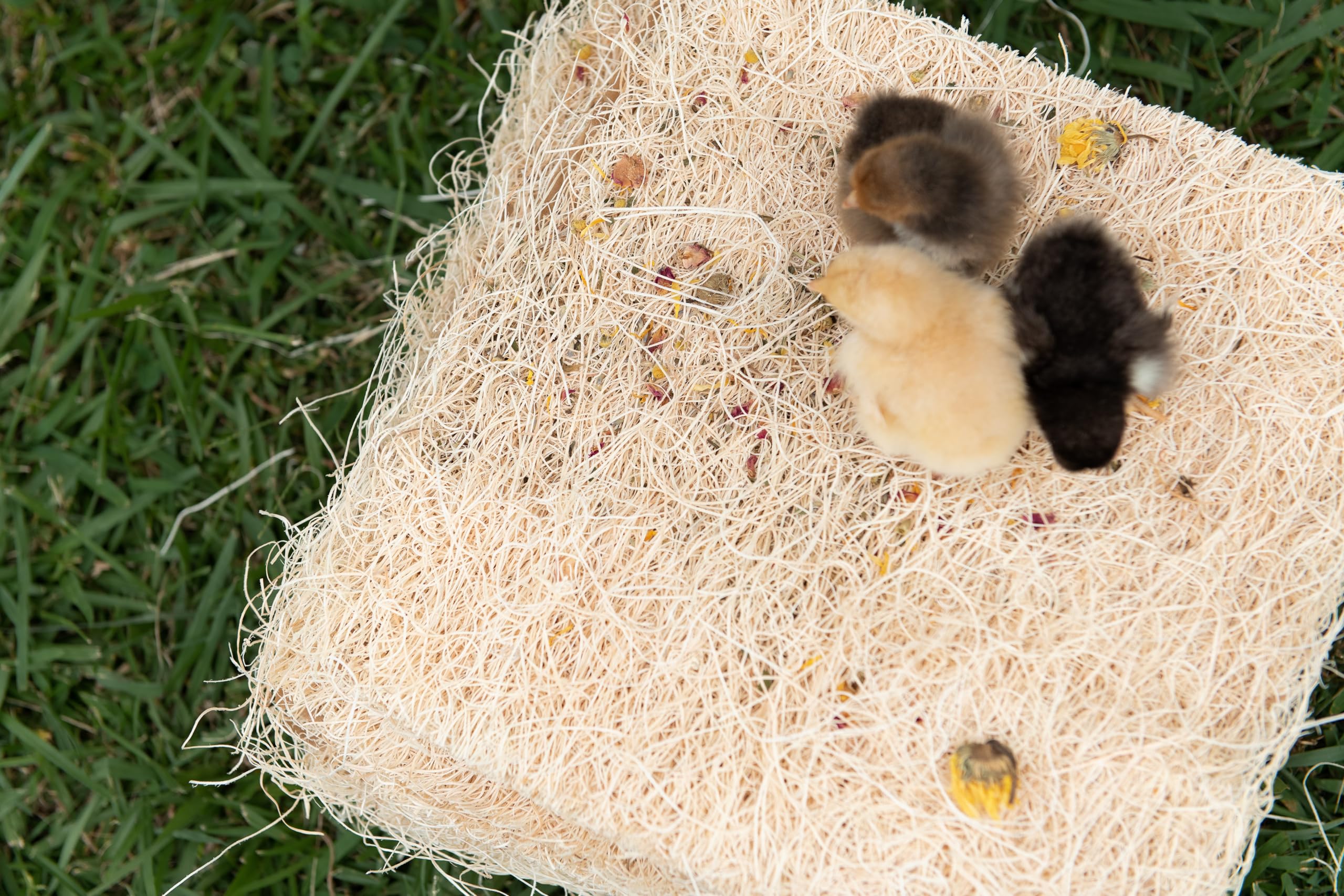 My Favorite Chicken ten nesting pads stacked for easy storage