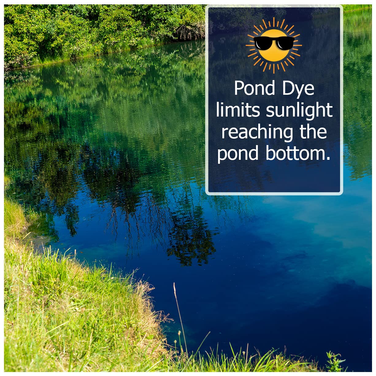 A wide view of a pond tinted midnight blue by Natural Waterscapes showing enhanced appearance