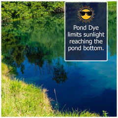 A wide view of a pond tinted midnight blue by Natural Waterscapes showing enhanced appearance