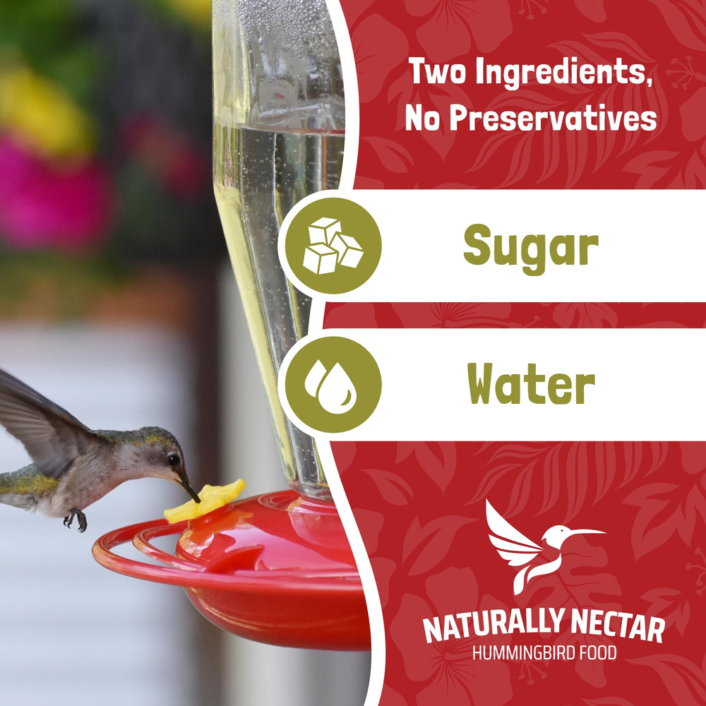 NATURALLY NECTAR next to feeder for scale showing 16 oz can and easy fill