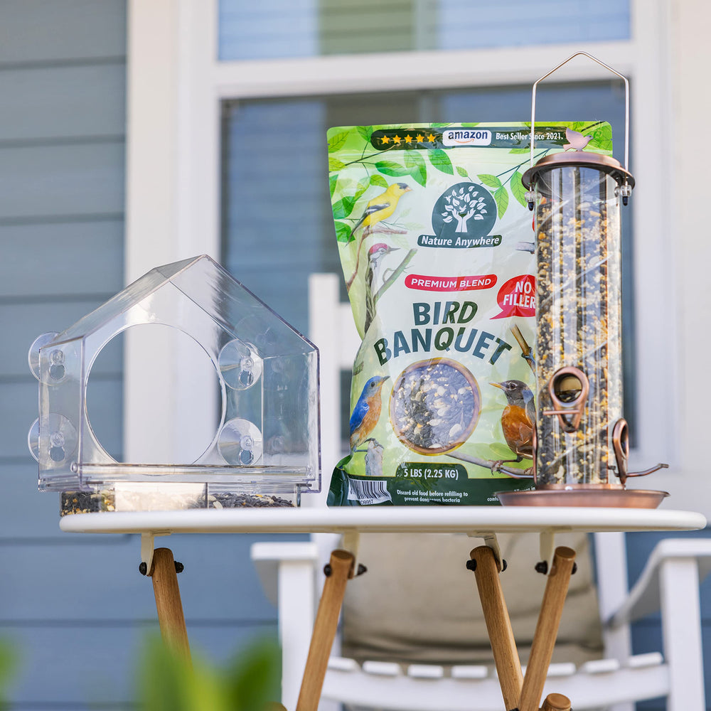 Nature Anywhere backyard scene with feeder, invites more bird activity