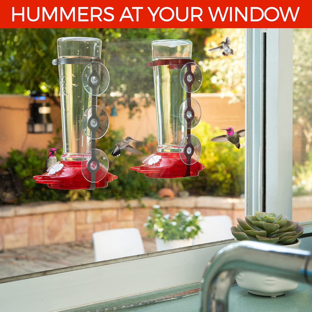 Nature Anywhere feeder on window with hummingbird feeding showing close viewing enjoyment
