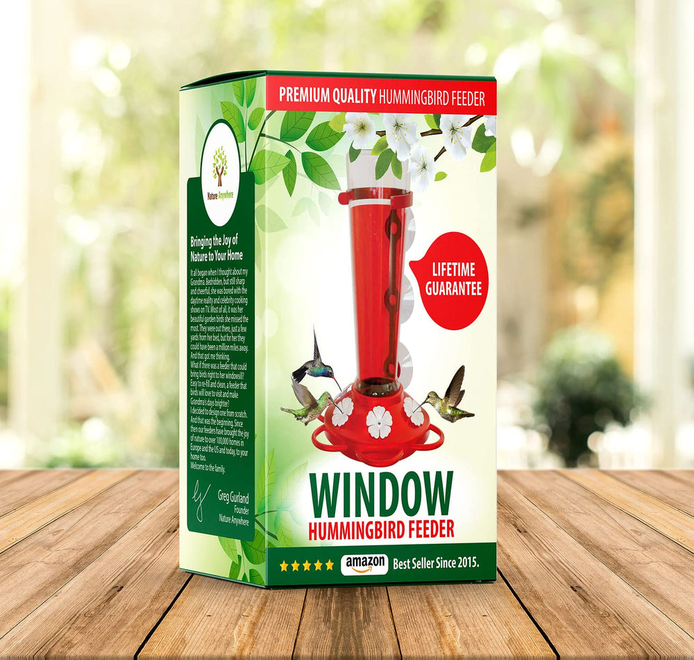 Nature Anywhere feeder mounted on home window showing wildlife watching lifestyle