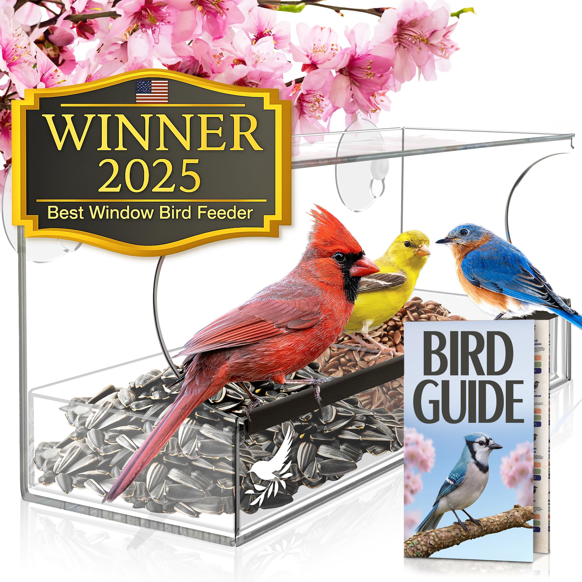 Nature's Hangout feeder front view showing clear acrylic and large tray benefit