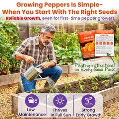 NatureZ Edge mature pepper plants with fruits showing harvest potential