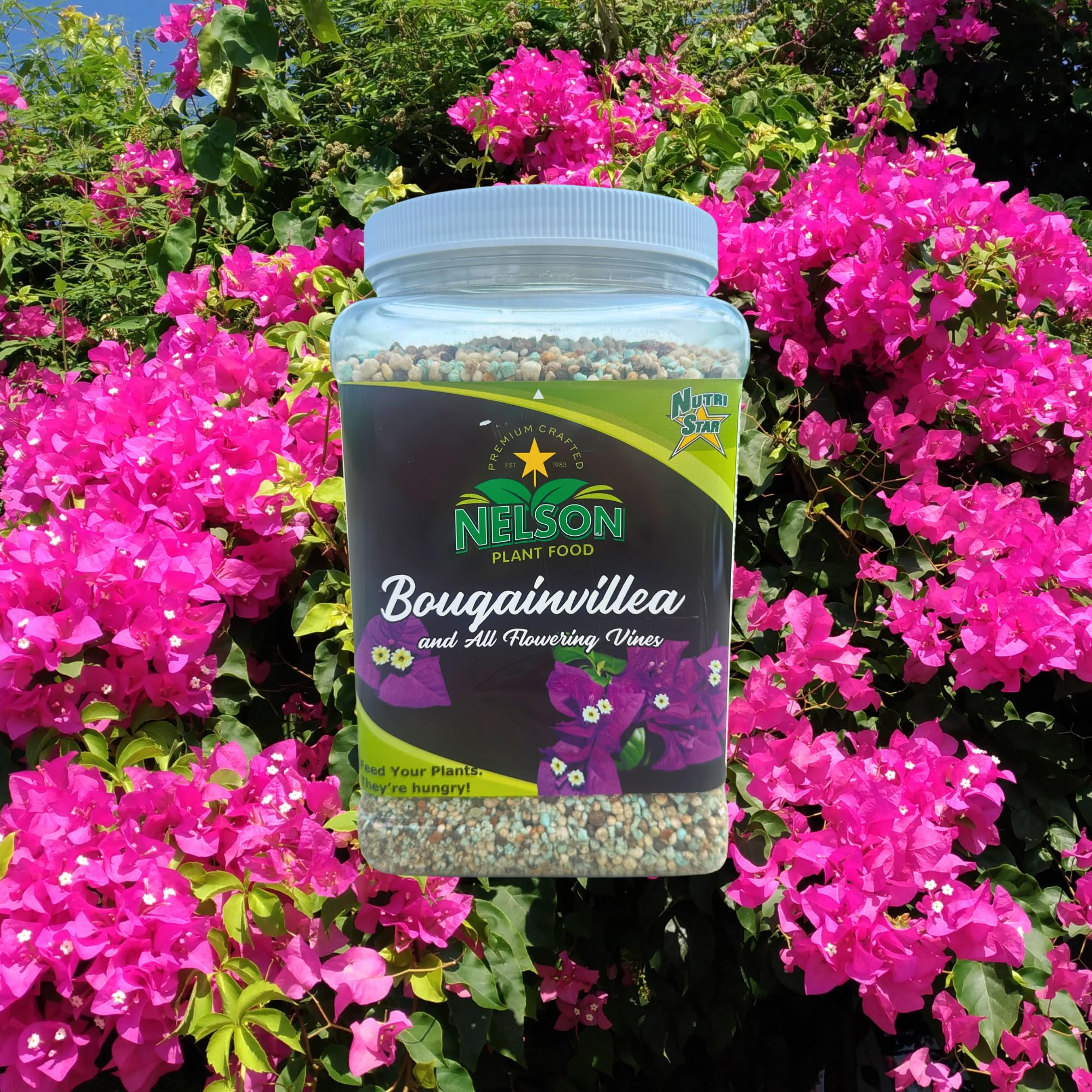 Nelson Plant Food close-up granules highlighting slow-release benefit