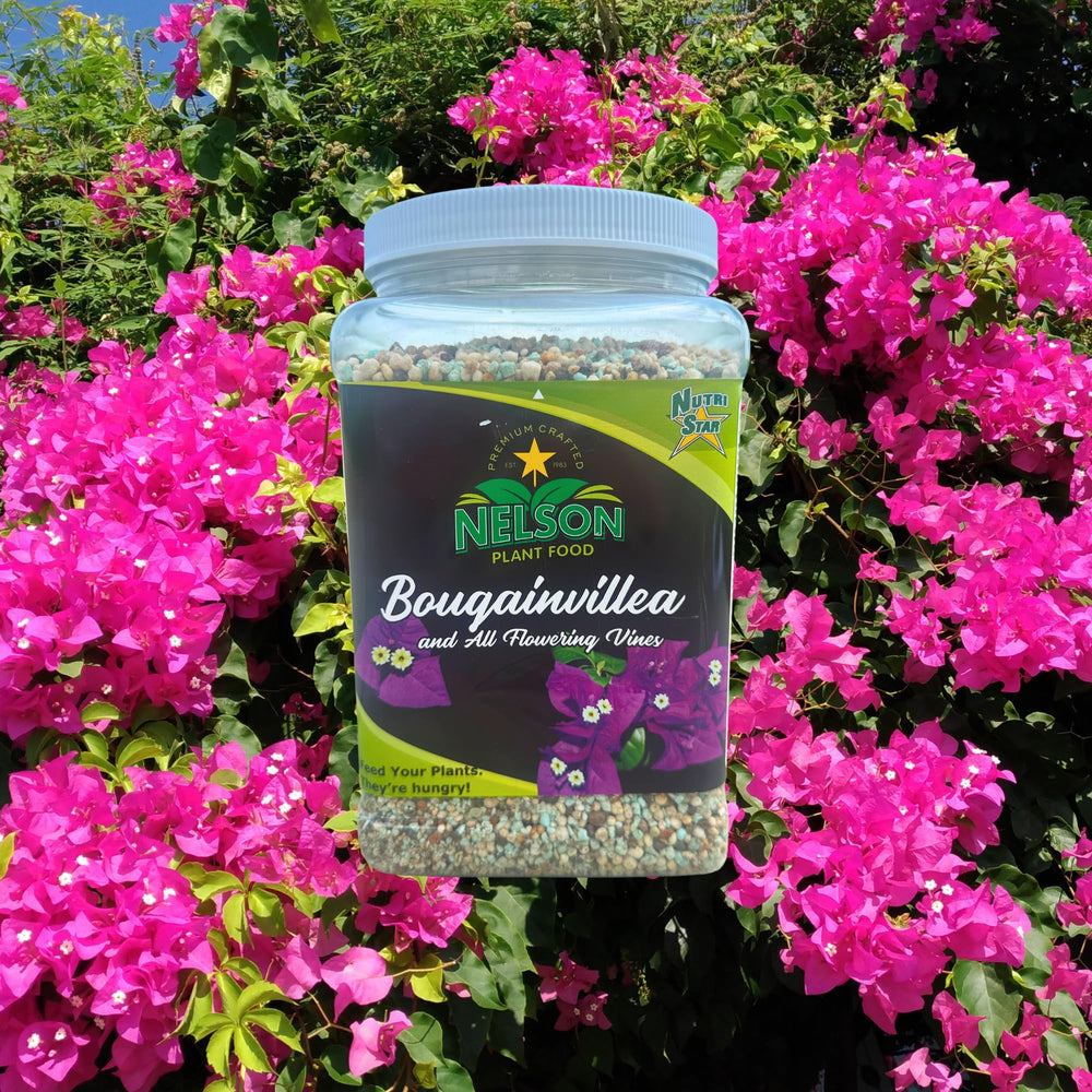 Nelson Plant Food close-up granules highlighting slow-release benefit
