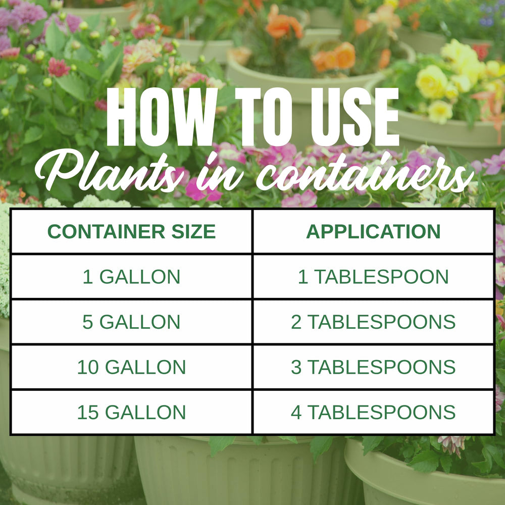 Nelson ColorStar bone and blood meal ingredient view boosting phosphorus