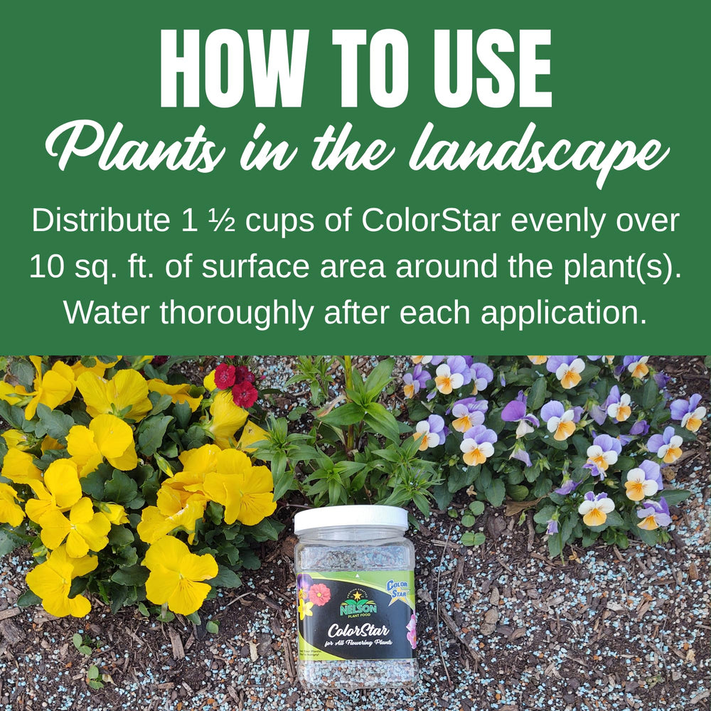 Flower bed in full bloom after ColorStar use, Nelson brand, illustrating abundant flowers