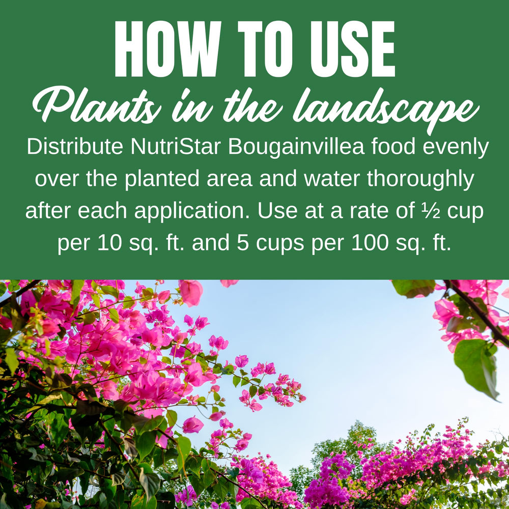 Nelson Plant Food used on potted bougainvillea for fuller blooms benefit