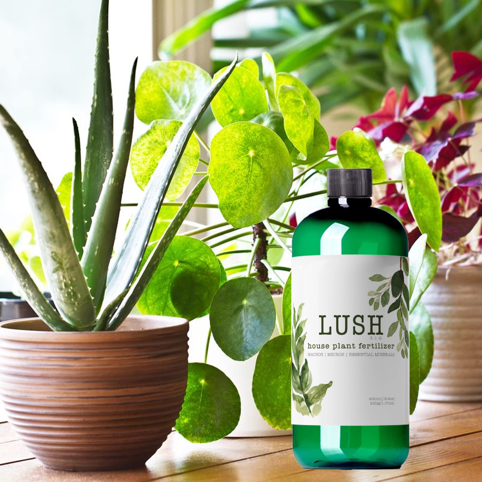 NilocG Aquatics applied to pothos showing lush foliage improvement