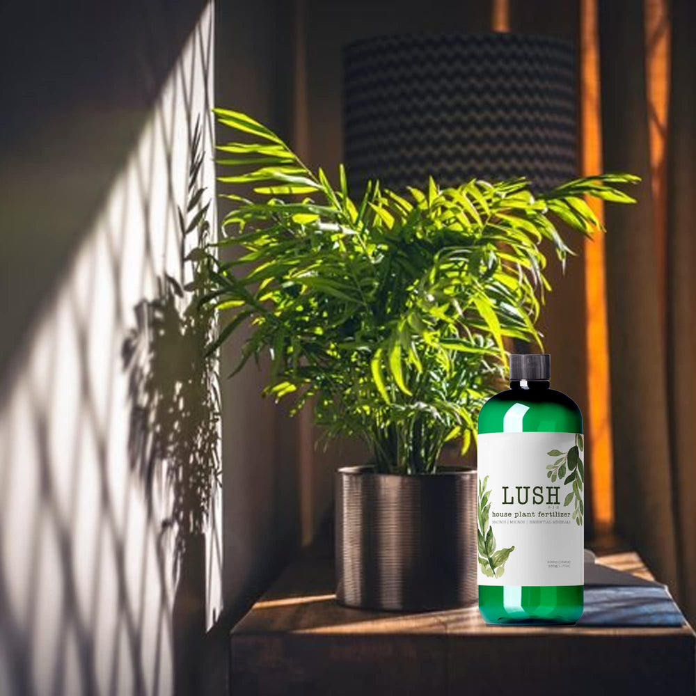 NilocG Aquatics bottle staged among indoor plants in a bright living room