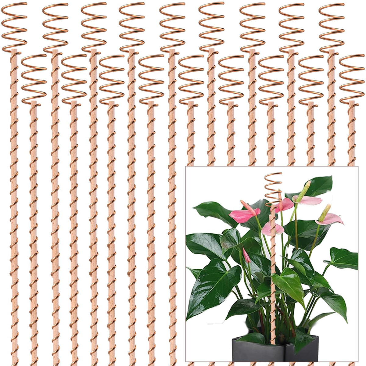 NizHome front packaging showing 18-pack stakes and clear benefits