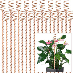 NizHome front packaging showing 18-pack stakes and clear benefits