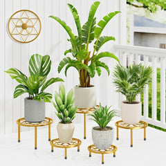 NQW gold plant risers front view showing five sizes and gold finish for elegant displays