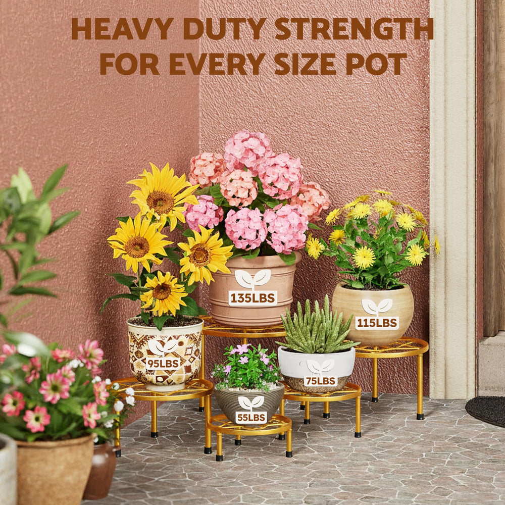 NQW plant risers staged in living room to elevate plants and improve room styling