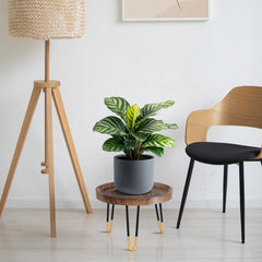 OBTAIN close-up of walnut-color top grain highlighting natural texture and waterproof finish