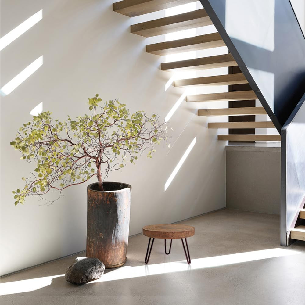 OBTAIN plant stand in living room enhancing decor and elevating a potted plant