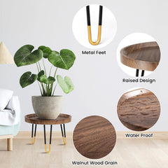 OBTAIN plant stand in living room showcasing styling benefit and elevated plant display
