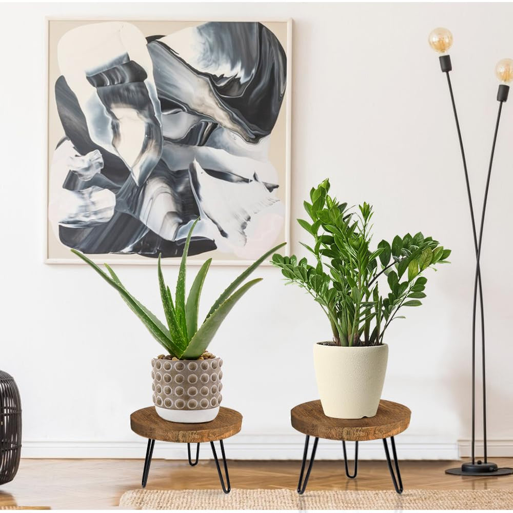 OBTAIN plant stand on covered porch demonstrating weather-protected outdoor display