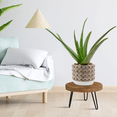 OBTAIN wood top close-up highlighting natural grain and tactile finish