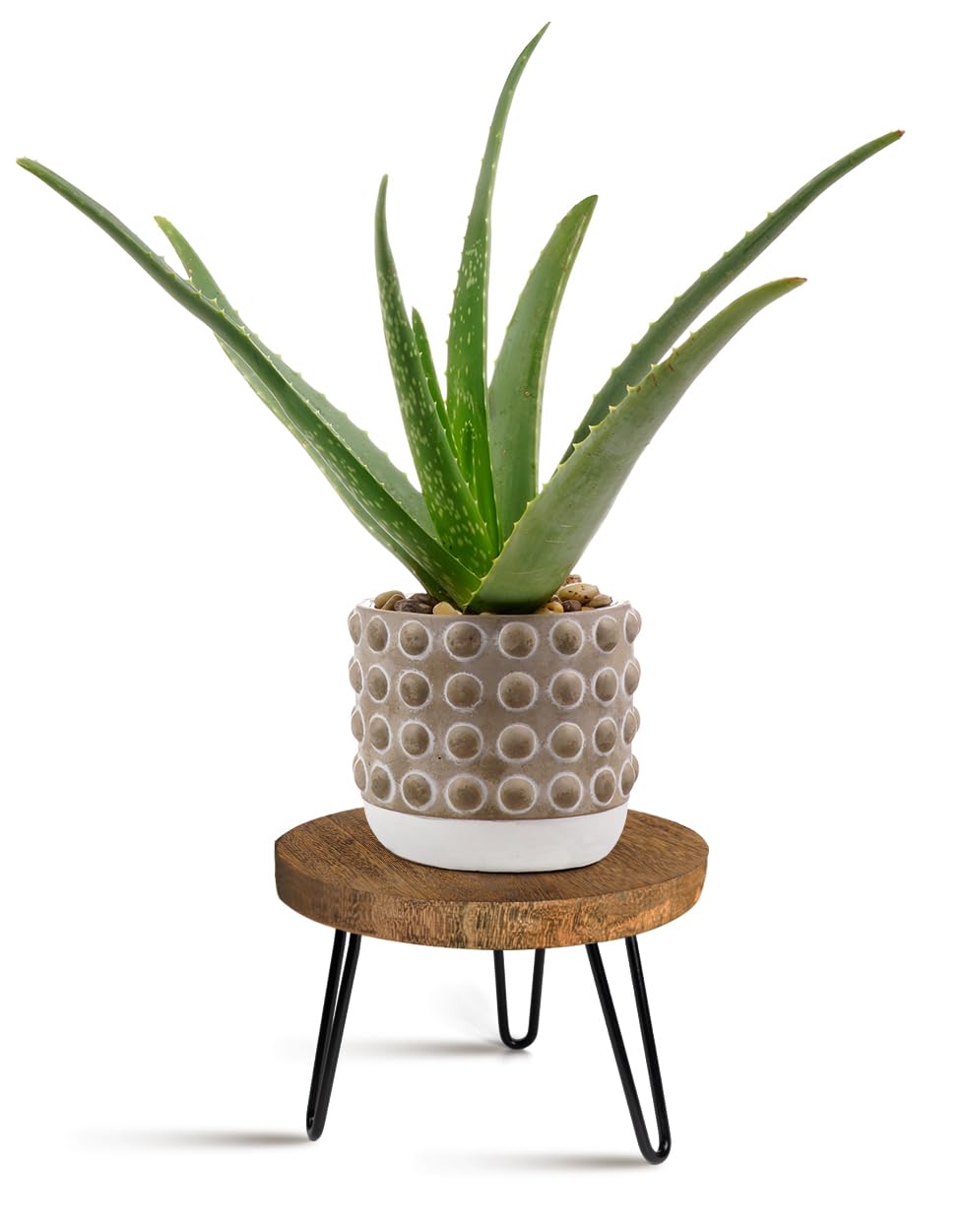 OBTAIN plant stand front view showing natural wood top and modern legs, stylish display benefit