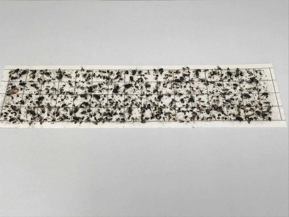 Olson Products Inc. glue board installed in Gilbert fly light showing straightforward fit