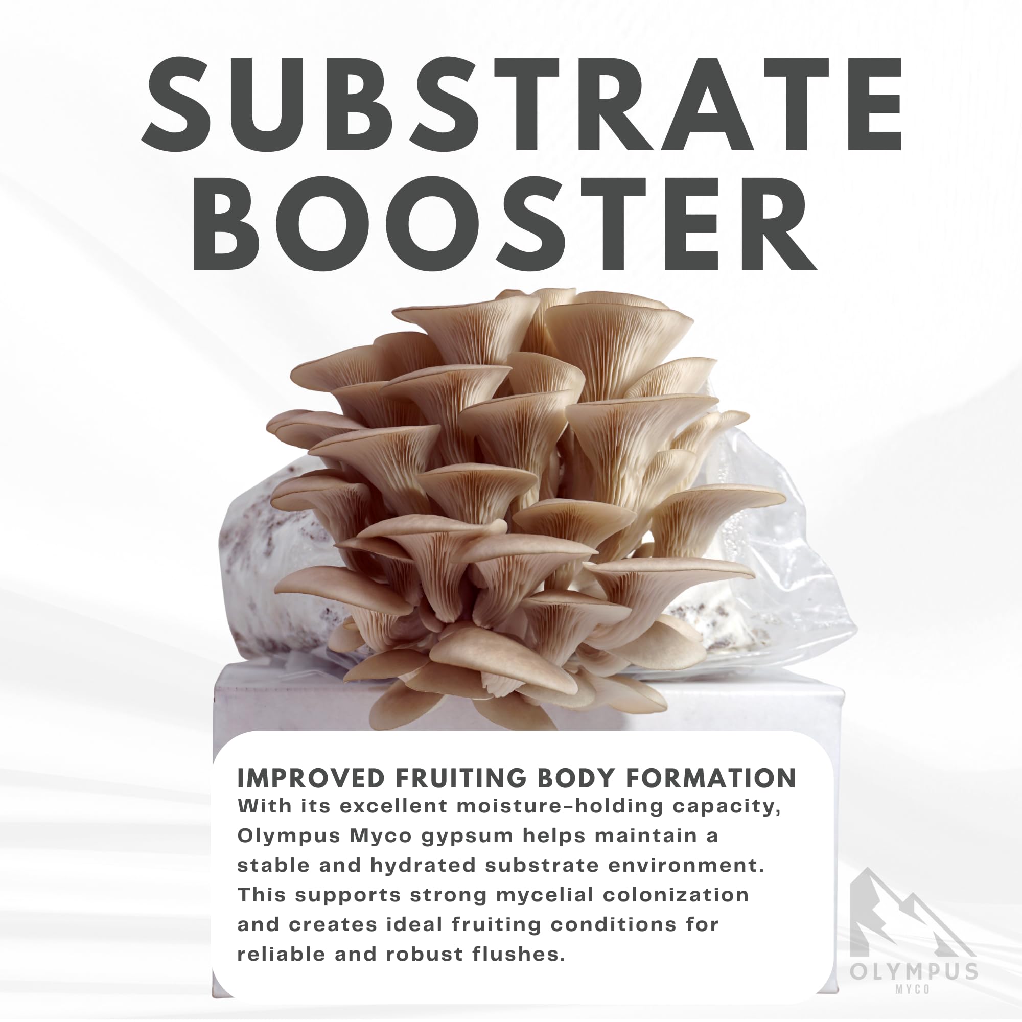 mixing Olympus Myco gypsum into mushroom substrate for improved structure