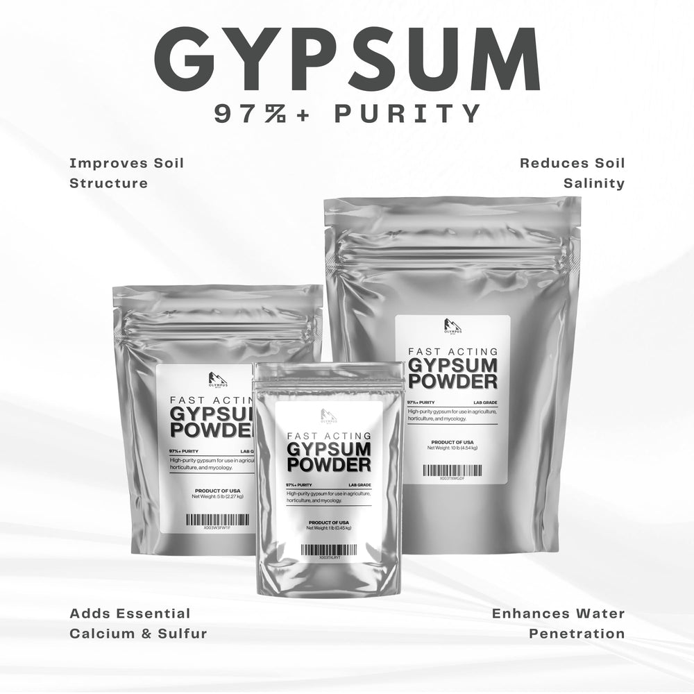 close-up of Olympus Myco gypsum powder texture for easy mixing benefit