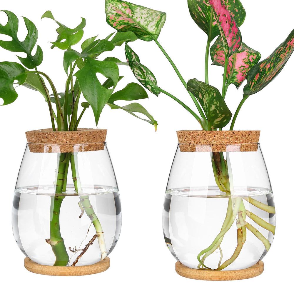 onepeng front view showing two glass vases and wooden stand, neat display benefit