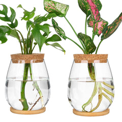onepeng front view showing two glass vases and wooden stand, neat display benefit