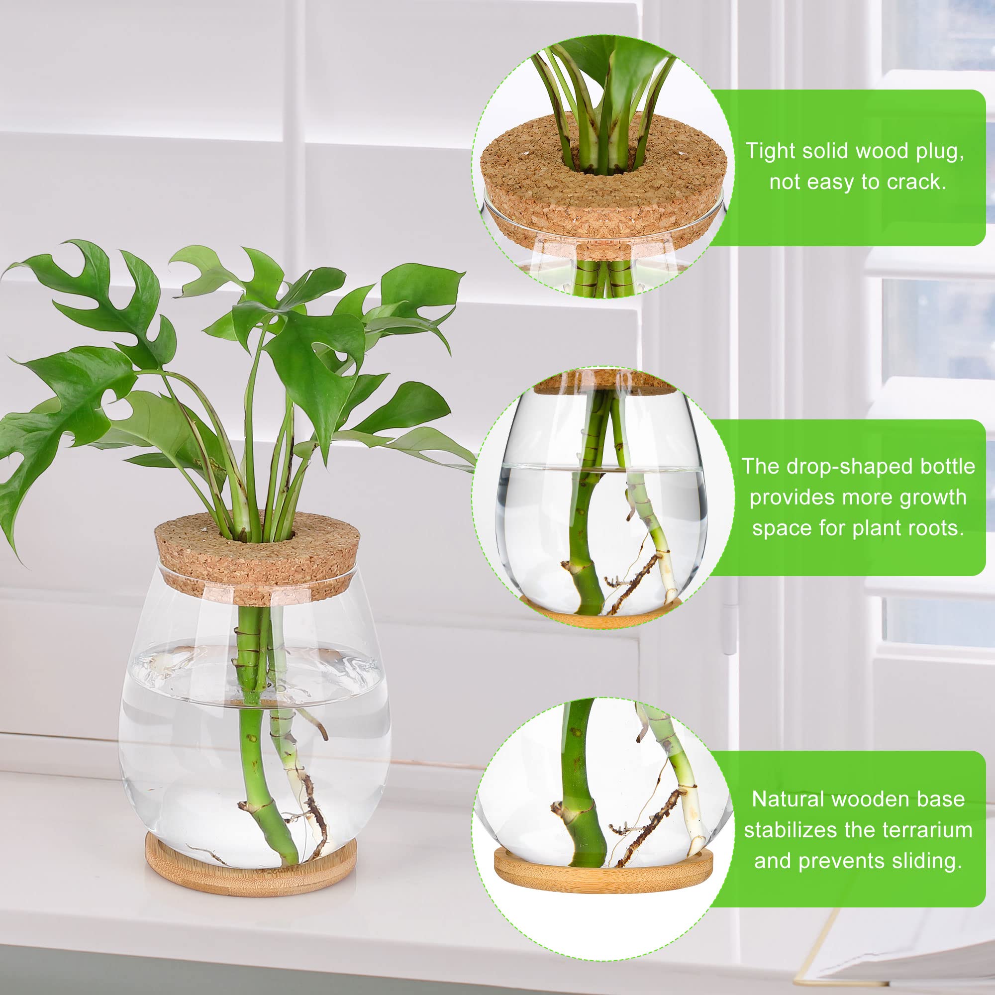 onepeng close-up glass vase with visible roots, easy monitoring benefit