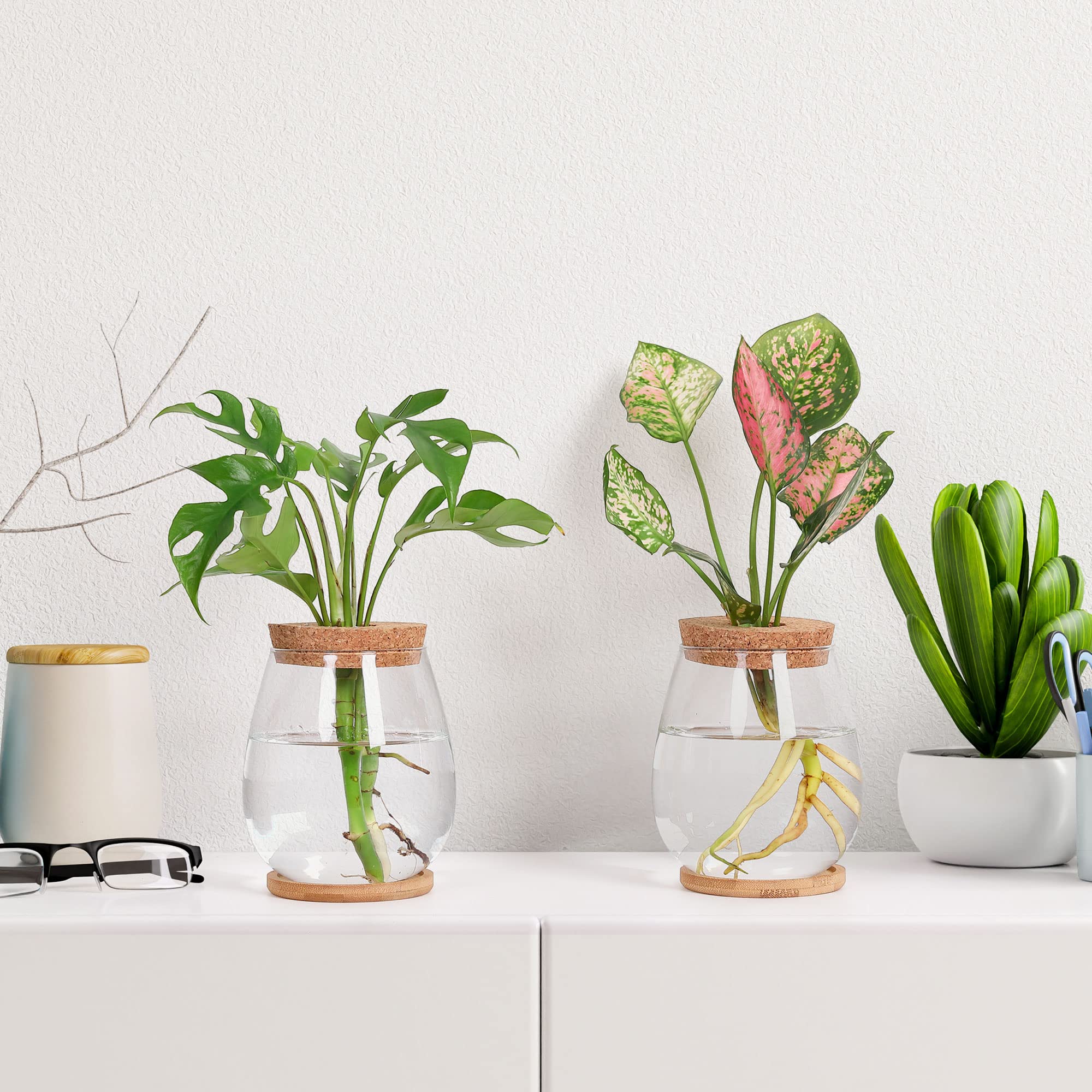 onepeng lifestyle desk display with plants creating calming decorative appeal