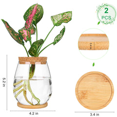 onepeng wooden stand and lids detail highlighting durable finish and stability