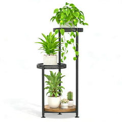 Oppro front view showing three-tier display and modern contrast