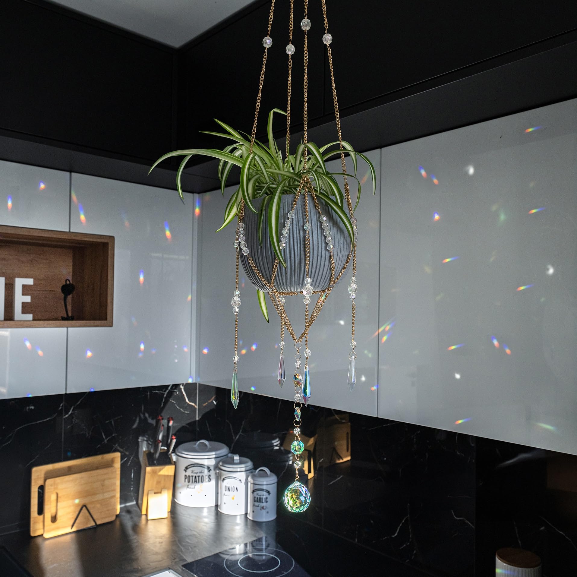 ORCHID AURA hanging in a sunny window creating rainbow accents