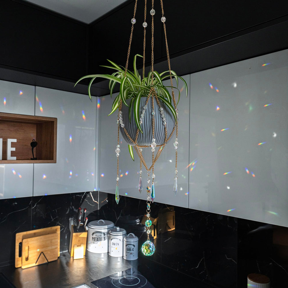 ORCHID AURA hanging in a sunny window creating rainbow accents
