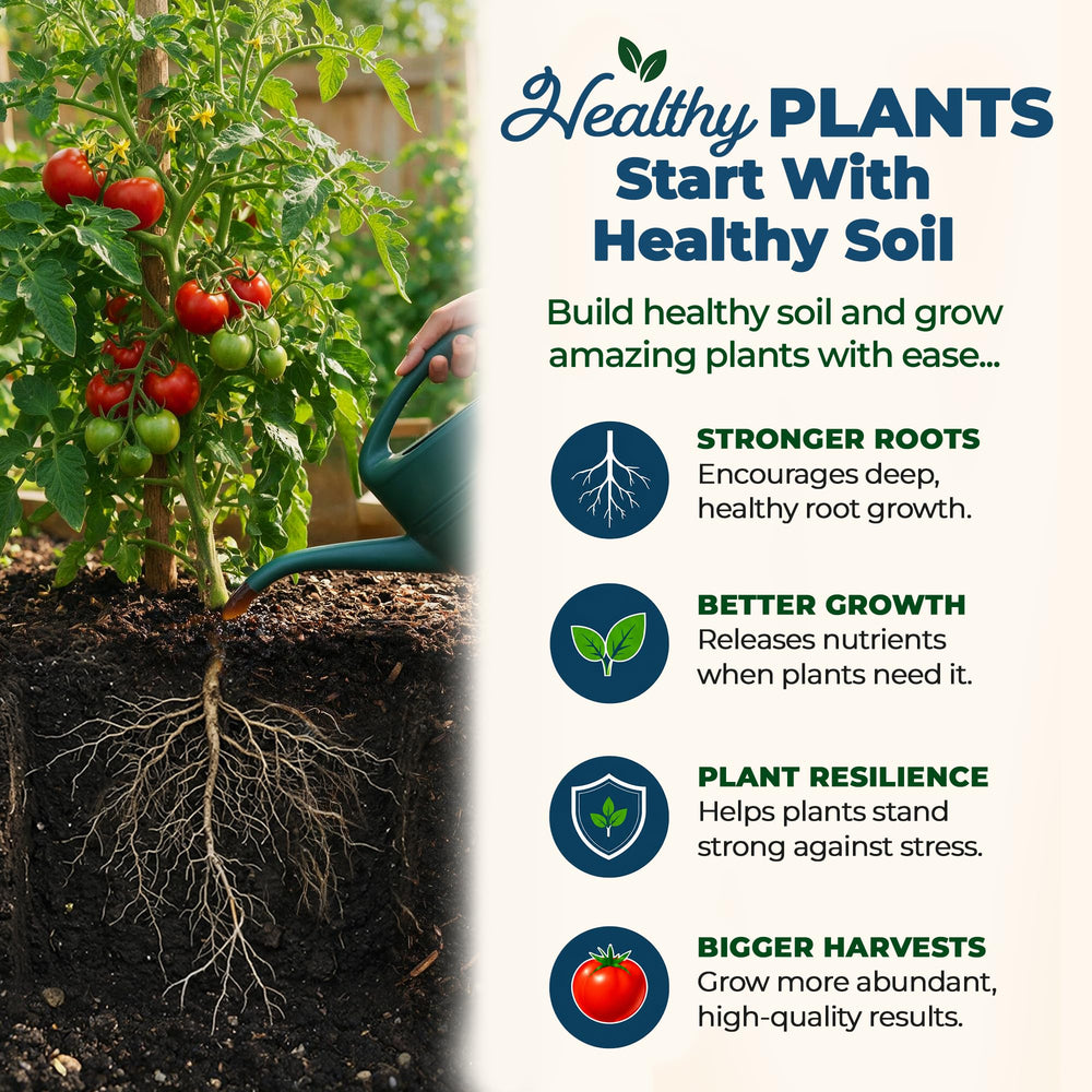 Organic Plant Magic applied to potted plant for healthier leaves