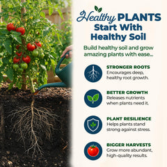 Organic Plant Magic applied to potted plant for healthier leaves