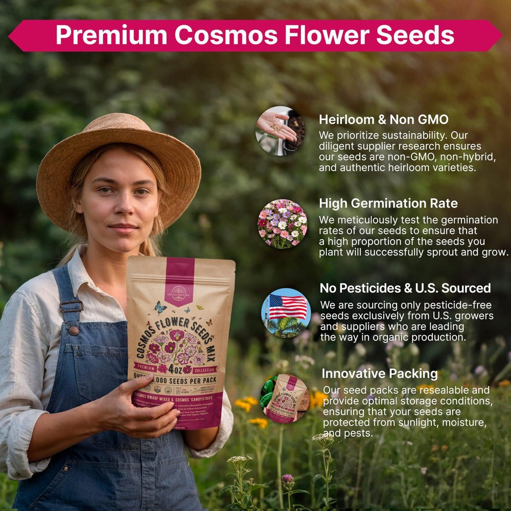 Organo Republic cosmos flowers in a backyard setting, creates low-maintenance habitat