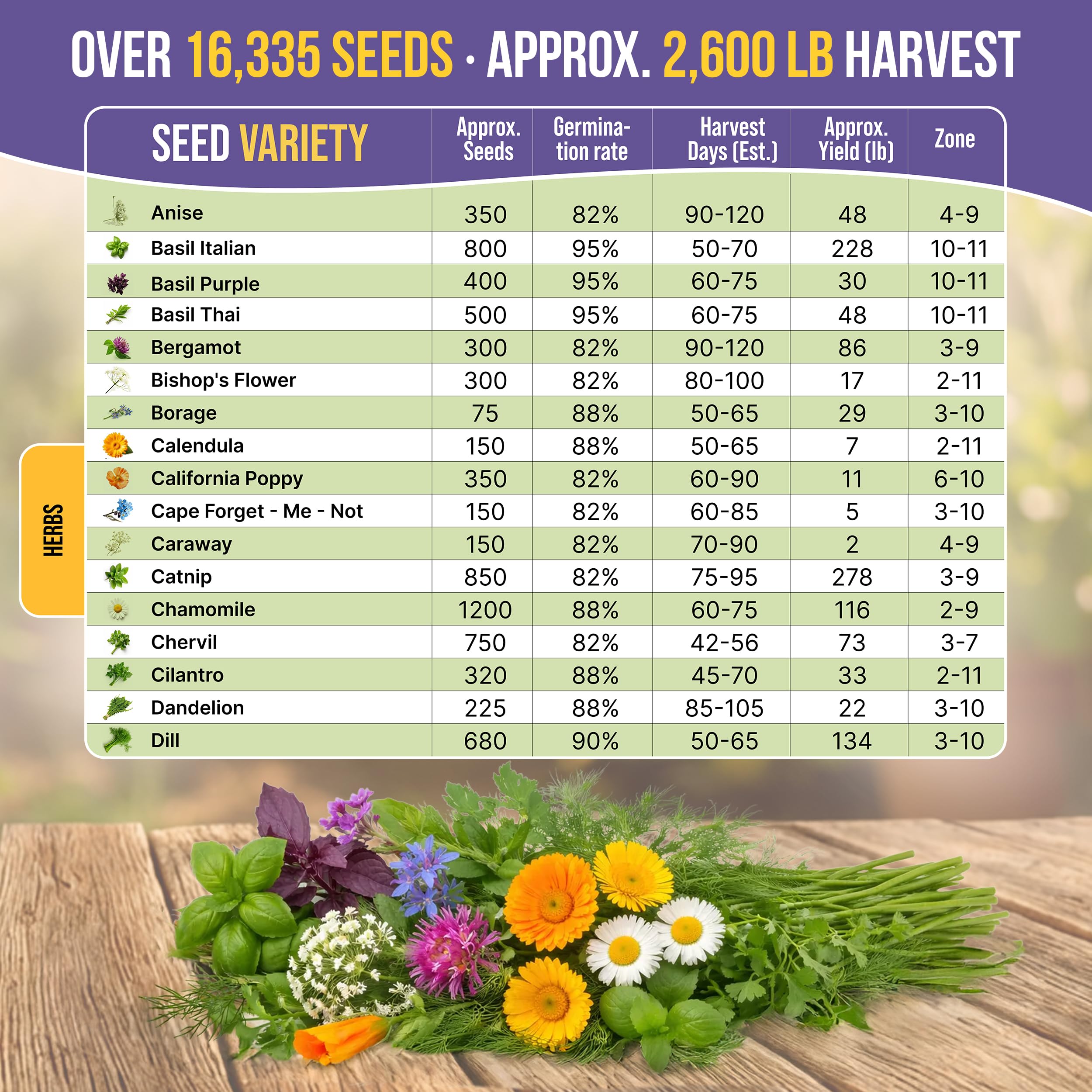 Organo Republic raised bed full of herbs illustrating abundant outdoor harvests