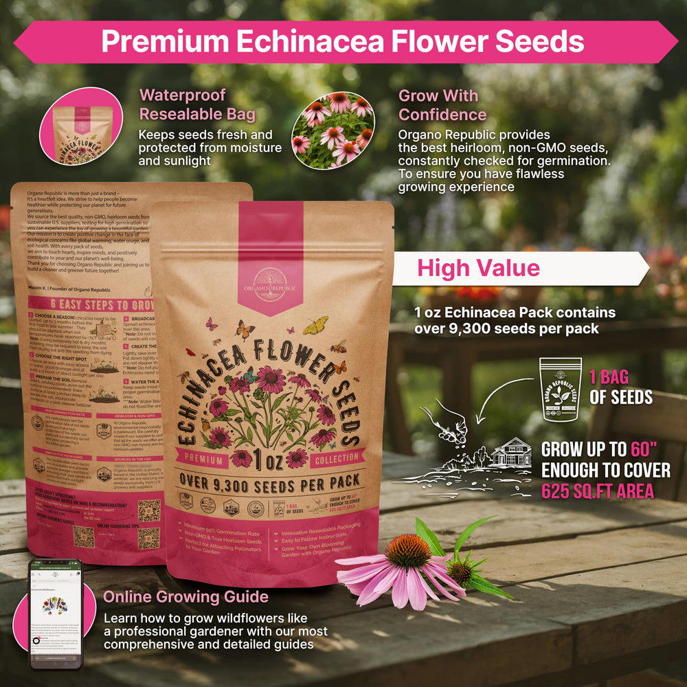 Organo Republic close-up of echinacea seeds showing premium texture